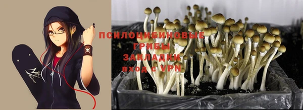 COCAINE Богданович