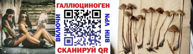 Псилоцибиновые грибы GOLDEN TEACHER  OMG ссылка  Слободской 