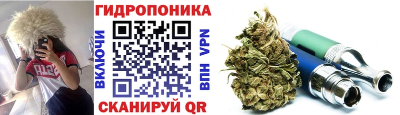 хочу   Слободской  Конопля конопля 